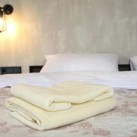 Elite Loft * Kolomiya
