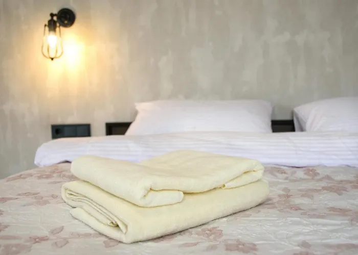 Elite Loft * Kolomiya